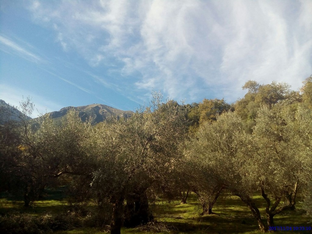 village