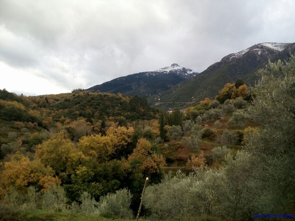 village